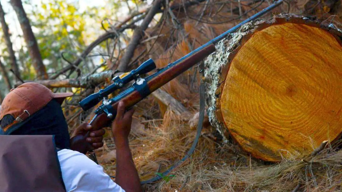 hombre armado sobre el tronco de un árbol